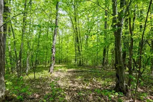 4902 W County Hwy F, Springbrook, WI 54875 - Photo 53
