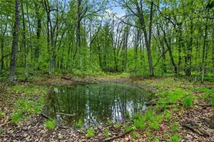 N8771 Fye Rd, Trego, WI 54888 - Photo 25