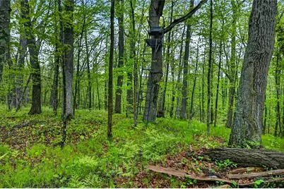N8771 Fye Road, Trego, WI 54888 - Photo 27