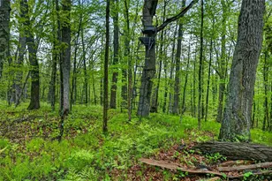 N8771 Fye Rd, Trego, WI 54888 - Photo 27