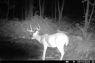 N8771 Fye Rd, Trego, WI 54888 - Photo 19
