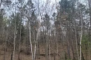 3598N Old J Rd, Winter, WI 54896 - Photo 19