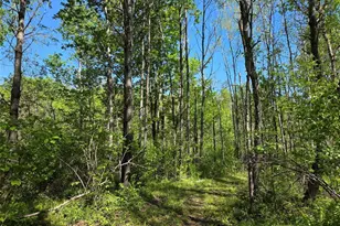N6957 Lincoln Rd, Bruce, WI 54819 - Photo 5