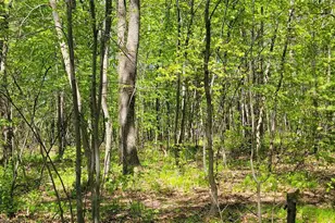 5154 Co Rd X, Webster, WI 54893 - Photo 33