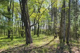 5154 Co Rd X, Webster, WI 54893 - Photo 29