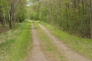 W9002 Moonshine Alley, Catawba, WI 54514 - Photo 41
