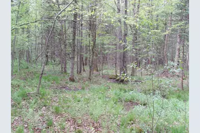 W9002 Moonshine Alley, Catawba, WI 54514 - Photo 9