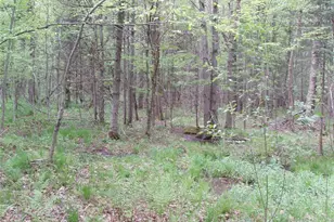 W9002 Moonshine Alley, Catawba, WI 54514 - Photo 9