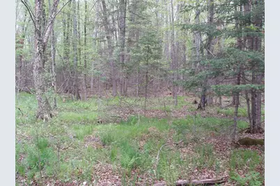W9002 Moonshine Alley, Catawba, WI 54514 - Photo 33