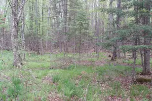 W9002 Moonshine Alley, Catawba, WI 54514 - Photo 33