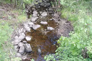 W9002 Moonshine Alley, Catawba, WI 54514 - Photo 7
