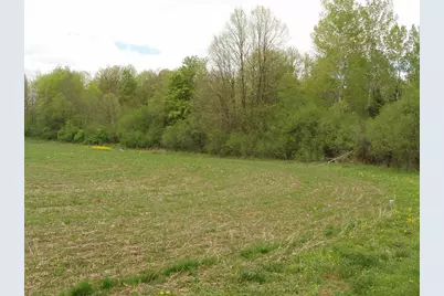 W9002 Moonshine Alley, Catawba, WI 54514 - Photo 35