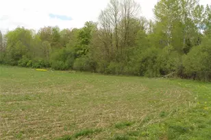 W9002 Moonshine Alley, Catawba, WI 54514 - Photo 35