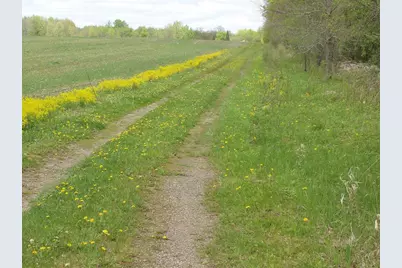 W9002 Moonshine Alley, Catawba, WI 54514 - Photo 39