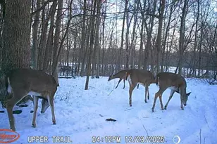 N7265 County Road Bb, Spring Valley, WI 54767 - Photo 41
