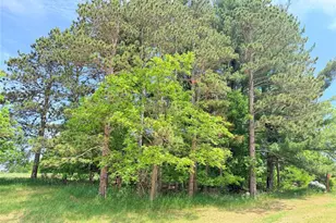 E3495 1210th Ave, Boyceville, WI 54725 - Photo 13