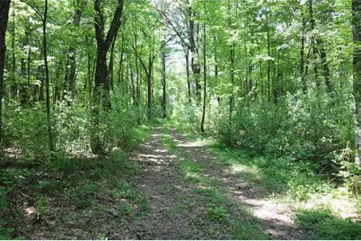 N7280 Waters Edge Road, Adams, WI 54615 - Photo 45