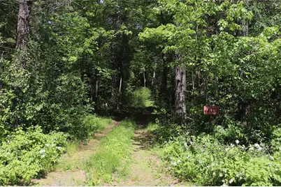 N7280 Waters Edge Road, Adams, WI 54615 - Photo 39