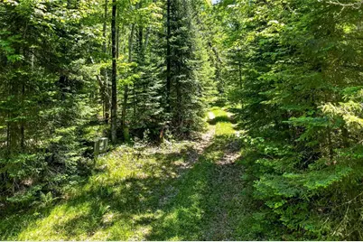 43545 Helms Point Road, Cable, WI 54821 - Photo 15