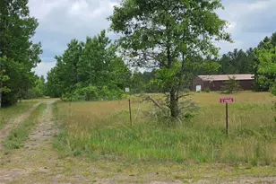 E19805 County Road Gg, Augusta, WI 54722 - Photo 5