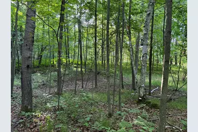 Xxx Sathre Lane, Shell Lake, WI 54871 - Photo 31