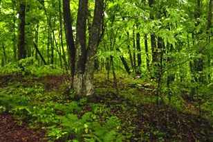 N6659 Kaiser Rd, Hawkins, WI 54530 - Photo 37