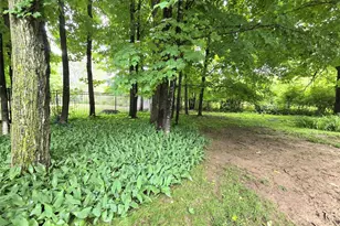 724 Pine Pl, Rice Lake, WI 54868 - Photo 39