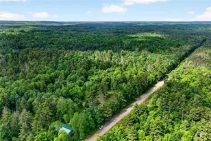 15705 McAully Rd, Cable, WI 54821 - Photo 53