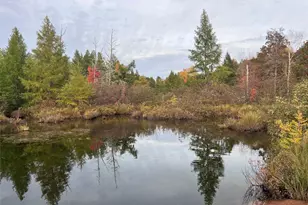 Lot 8 Secluded Ln, Gordon, WI 54838 - Photo 5