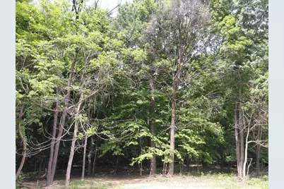 E5329 1370 Avenue, Ridgeland, WI 54763 - Photo 13