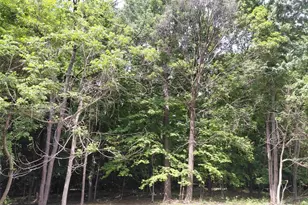 E5329 1370th Ave, Ridgeland, WI 54763 - Photo 13