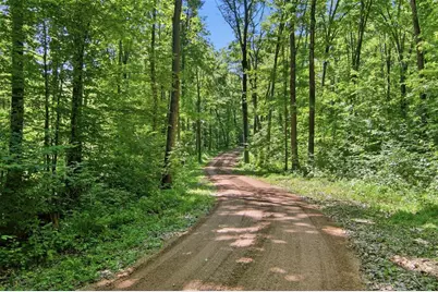 10384 Cary Rock Drive, Marshfield, WI 54449 - Photo 43