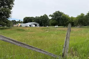 N7326 Davis Rd, Taylor, WI 54659 - Photo 35