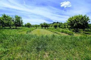 407 23rd St, Chetek, WI 54728 - Photo 57