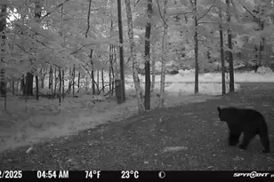 N6209 Deerwood Dr, Ladysmith, WI 54848 - Photo 15