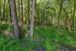 W245 Woodridge Dr, Eau Claire, WI 54701 - Photo 49