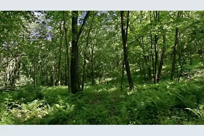 N44681 Hawkenson Valley Road, Eleva, WI 54738 - Photo 37