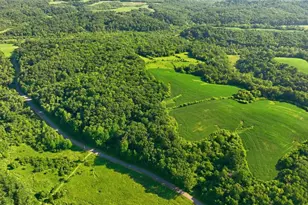 N44681 Hawkenson Valley Rd, Eleva, WI 54738 - Photo 53