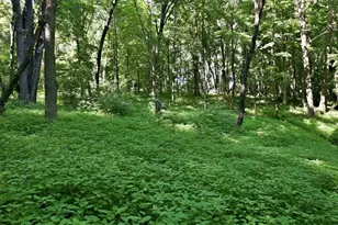 N44681 Hawkenson Valley Rd, Eleva, WI 54738 - Photo 23