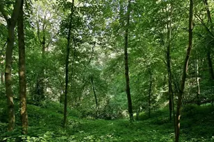 N44681 Hawkenson Valley Rd, Eleva, WI 54738 - Photo 25