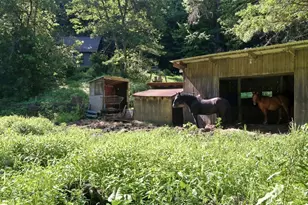 N44681 Hawkenson Valley Rd, Eleva, WI 54738 - Photo 33