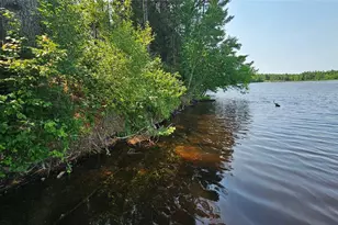 3555 Birch Ln, Radisson, WI 54867 - Photo 35