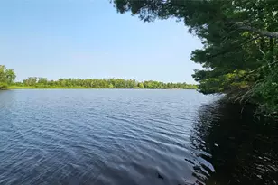 3555 Birch Ln, Radisson, WI 54867 - Photo 33