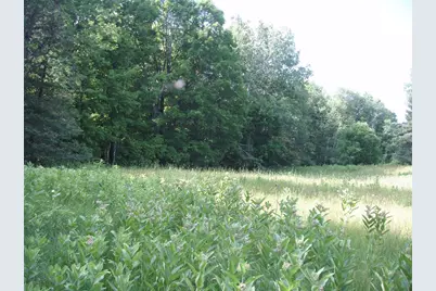 2460N County Highway Ff, Butternut, WI 54514 - Photo 33
