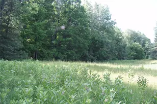 2460N County Hwy Ff, Butternut, WI 54514 - Photo 33