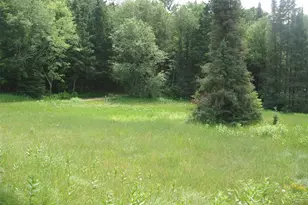 2460N County Hwy Ff, Butternut, WI 54514 - Photo 23