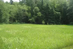 2460N County Hwy Ff, Butternut, WI 54514 - Photo 9