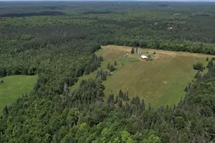 N16798 Bass Lake Rd, Butternut, WI 54514 - Photo 49