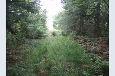 N16798 Bass Lake Road, Butternut, WI 54514 - Photo 31
