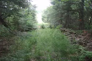 N16798 Bass Lake Rd, Butternut, WI 54514 - Photo 31